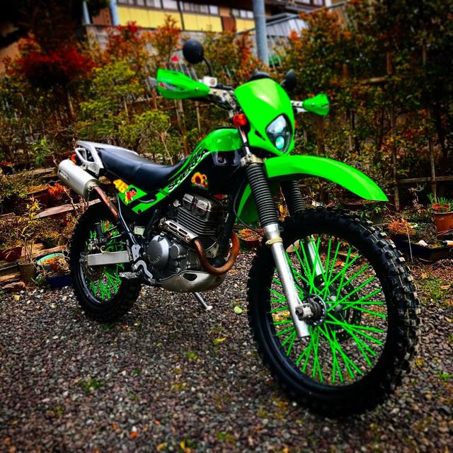 スポークラップ グリーン(スポークスキン、スポークカバー) < 自動車/バイク スポークラップ グリーン(スポークスキン、スポークカバー) < 自動車/バイク