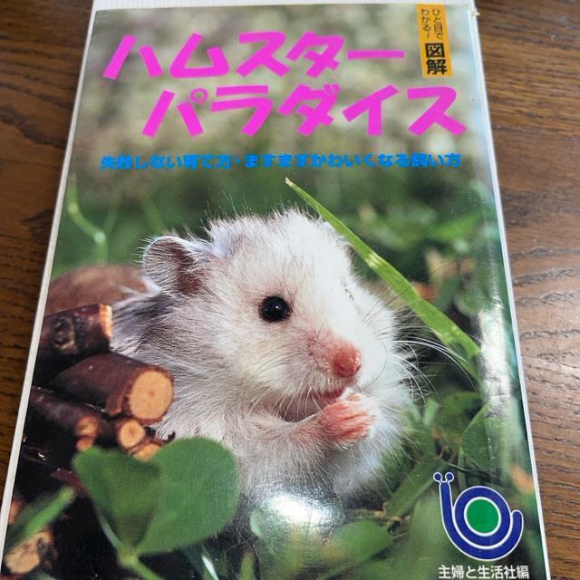 ハムスター パラダイス―失敗しない育て方  送料無料  匿名配送  かわいくなる飼い方 主婦と生活社 < 本/雑誌  ハムスター パラダイス―失敗しない育て方  送料無料  匿名配送  かわいくなる飼い方 主婦と生活社  < 本/雑誌の