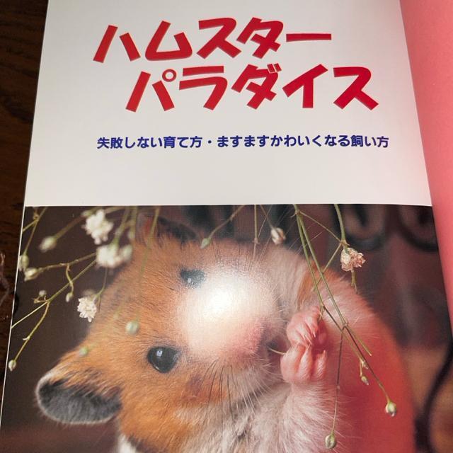 ハムスター パラダイス―失敗しない育て方  送料無料  匿名配送  かわいくなる飼い方 主婦と生活社 < 本/雑誌  ハムスター パラダイス―失敗しない育て方  送料無料  匿名配送  かわいくなる飼い方 主婦と生活社 < 本/雑誌の