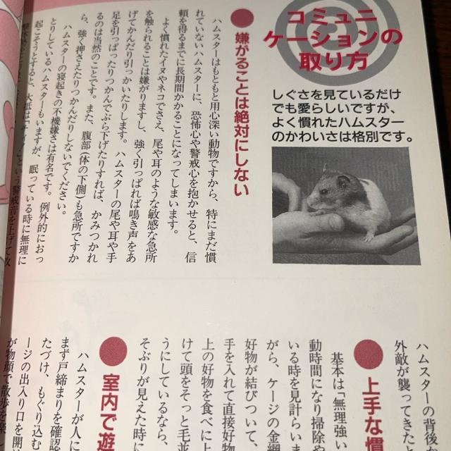 ハムスター パラダイス―失敗しない育て方  送料無料  匿名配送  かわいくなる飼い方 主婦と生活社 < 本/雑誌  ハムスター パラダイス―失敗しない育て方  送料無料  匿名配送  かわいくなる飼い方 主婦と生活社 < 本/雑誌の