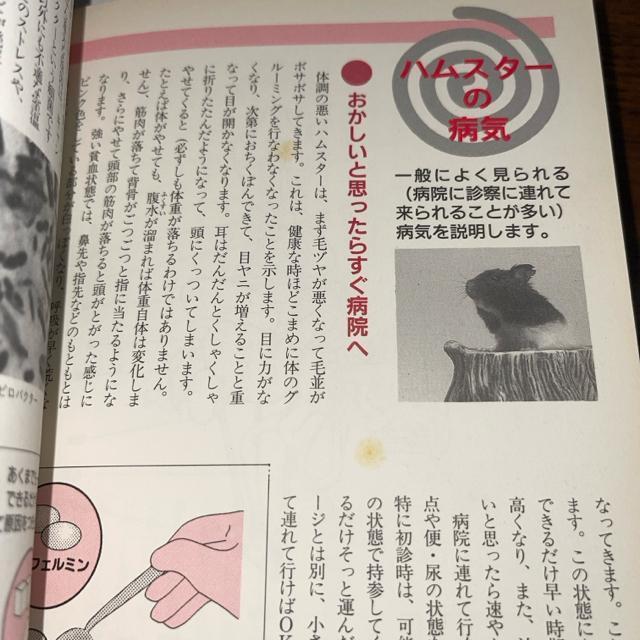 ハムスター パラダイス―失敗しない育て方  送料無料  匿名配送  かわいくなる飼い方 主婦と生活社 < 本/雑誌  ハムスター パラダイス―失敗しない育て方  送料無料  匿名配送  かわいくなる飼い方 主婦と生活社 < 本/雑誌の