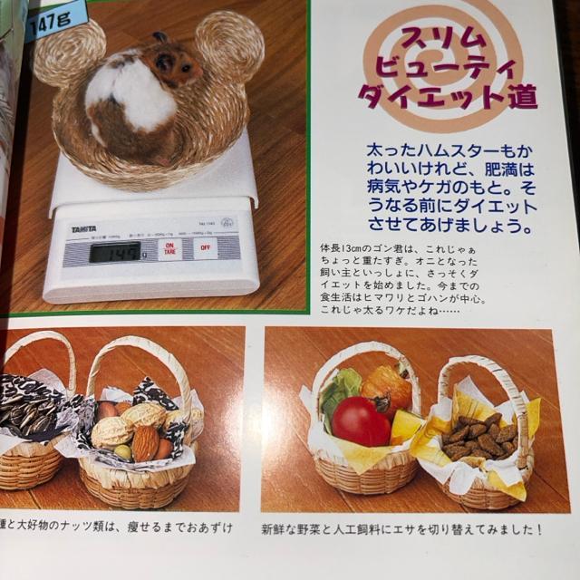 ハムスター パラダイス―失敗しない育て方  送料無料  匿名配送  かわいくなる飼い方 主婦と生活社 < 本/雑誌  ハムスター パラダイス―失敗しない育て方  送料無料  匿名配送  かわいくなる飼い方 主婦と生活社 < 本/雑誌の
