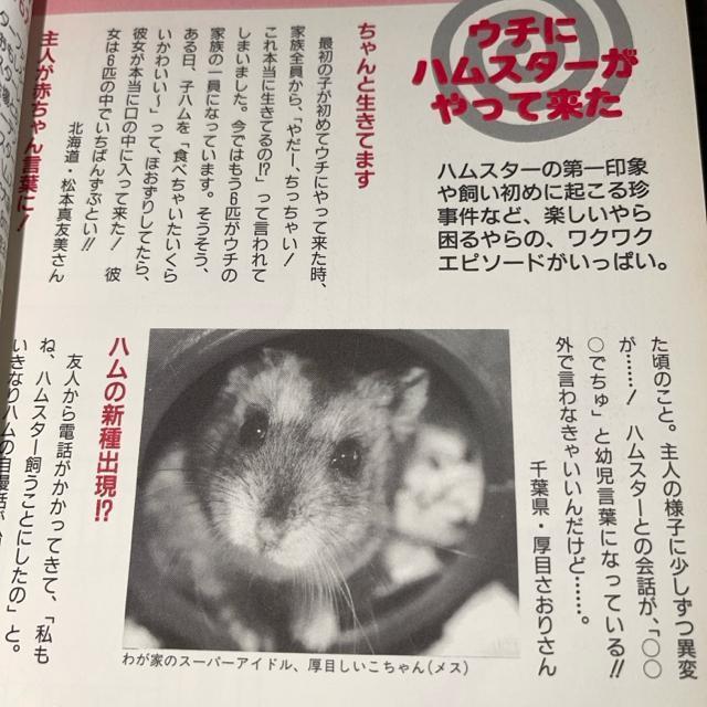 ハムスター パラダイス―失敗しない育て方  送料無料  匿名配送  かわいくなる飼い方 主婦と生活社 < 本/雑誌  ハムスター パラダイス―失敗しない育て方  送料無料  匿名配送  かわいくなる飼い方 主婦と生活社 < 本/雑誌の