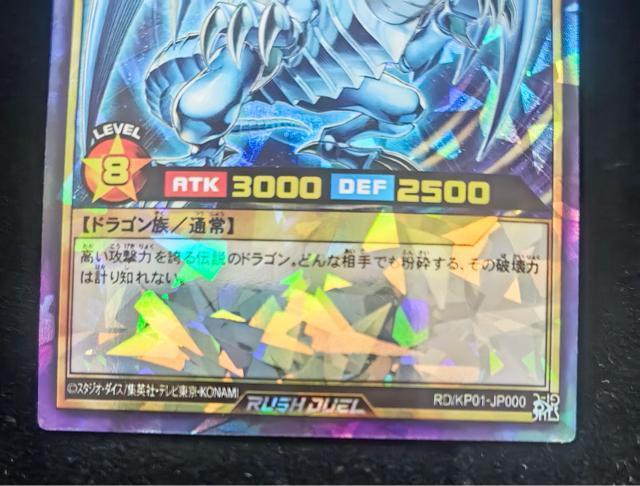 �y�ɔ��i�z�V�Y�� ���b�V���f���G�� ��̔��� �V�[�N���b�g RD/KP01-JP000 ���W�F���h �u���[�A�C�Y �� �g���[�f�B���O�J�[�h�� 