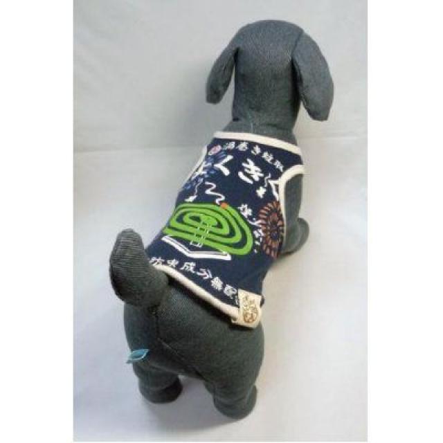 ^Ngbv MD-S p[vVi `3kg  ybg/|/| 