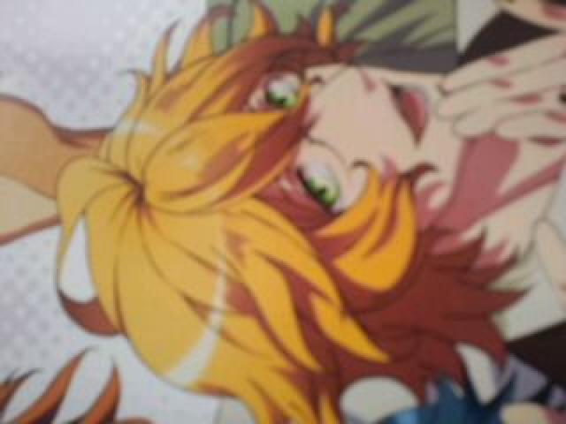 ́vX܂ rsqhrg XeBbN|X^[  CD/DVD/rfI 