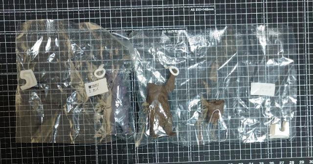 【定形外送料無料】ガチャガチャ○『どうぶつ満員電車』カバ&クマセット < ホビー 【定形外送料無料】ガチャガチャ○『どうぶつ満員電車』カバ&クマセット < ホビーの