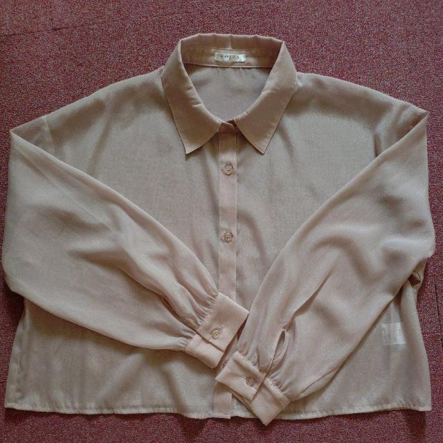 Honeys@uEX V[gVA[Vc  t@bV 