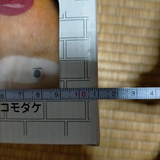 ムスメドコモダケぬいぐるみ 未開封・新品 < ホビー ムスメドコモダケぬいぐるみ 未開封・新品 < ホビーの