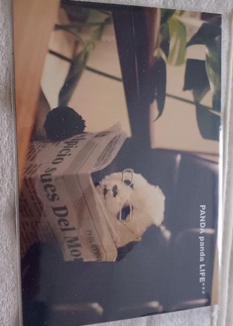 パンダさんポストカード 送料込み < ホビー パンダさんポストカード 送料込み < ホビーの