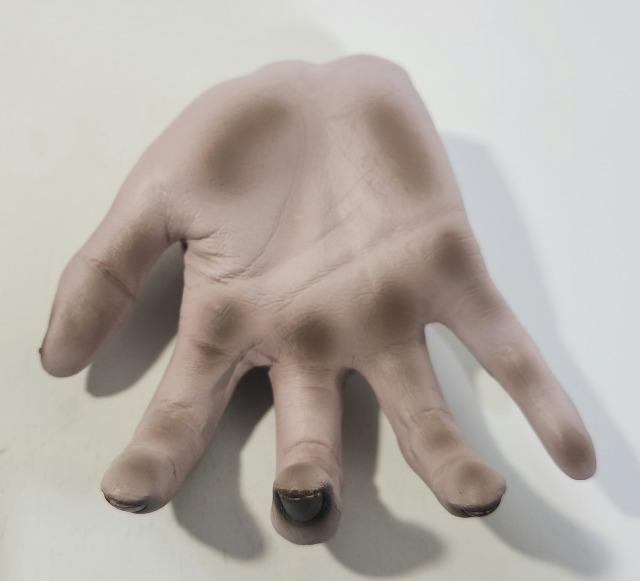 �����O�@��q�@�������T�@��q�̎�@�X�}�z�u���@�t�B�M���A �� �z�r�[�� 