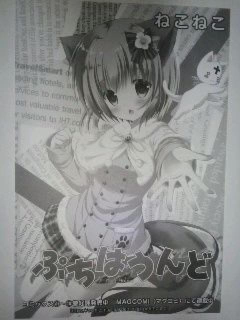 あまんちゅ!トリビュートイラストカード『ねこねこ』のカード < アニメ/コミック/キャラクター  あまんちゅ!トリビュートイラストカード『ねこねこ』のカード < アニメ/コミック/キャラクターの