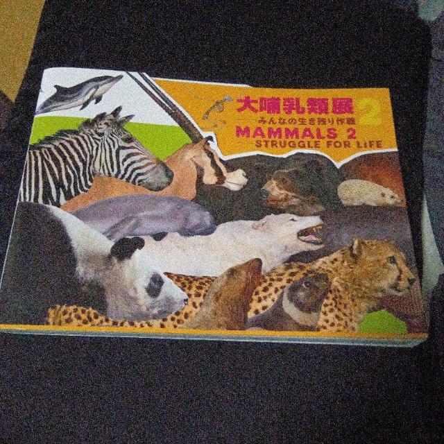 大哺乳類展2 - みんなの生き残り作戦  公式図録 < 本/雑誌  大哺乳類展2 - みんなの生き残り作戦  公式図録  < 本/雑誌の