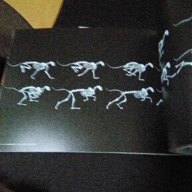 大哺乳類展2 - みんなの生き残り作戦  公式図録 < 本/雑誌  大哺乳類展2 - みんなの生き残り作戦  公式図録 < 本/雑誌の