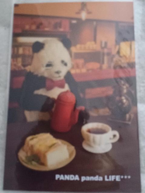 パンダさんポストカード 送料込み < ホビー パンダさんポストカード 送料込み < ホビーの