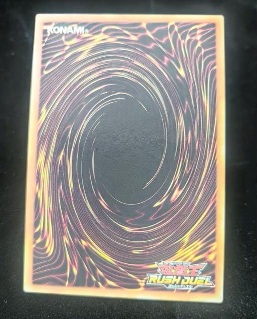 �V�Y�� ���b�V���f���G�� �u���b�N�E�}�W�V�����E�K�[�� �I�[�o�[���b�V�����A RD/ORP2-JP001 ���i �� �g���[�f�B���O�J�[�h�� 