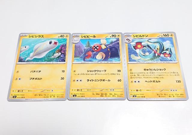 |PJ[h VrVX C & Vrr[ C & Vrh U XJ[bgoCIbg ̎xz0 |PJ 