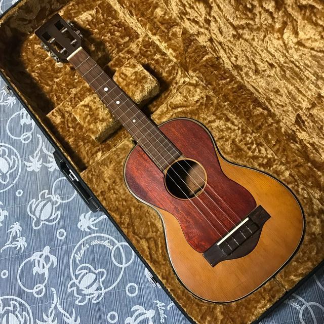 超レア 世界に1本 1971 マーチン T-18 Tiple 4弦コンバージョン ハードケース付 < ホビー 超レア 世界に1本 1971 マーチン T-18 Tiple 4弦コンバージョン ハードケース付 < ホビーの