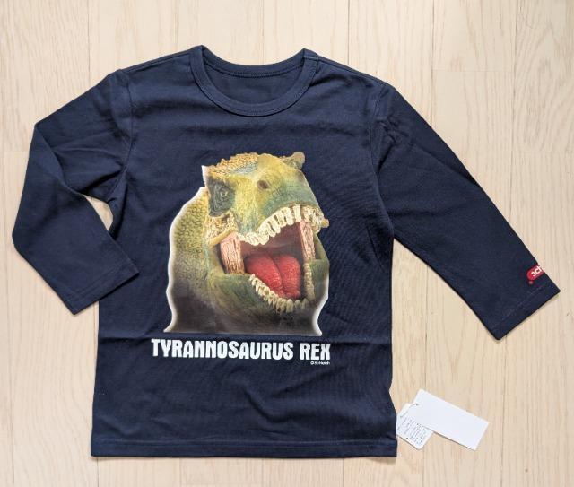 PROVCqSchleicheBmTEXvgsVcVi   LbY/xr[ 