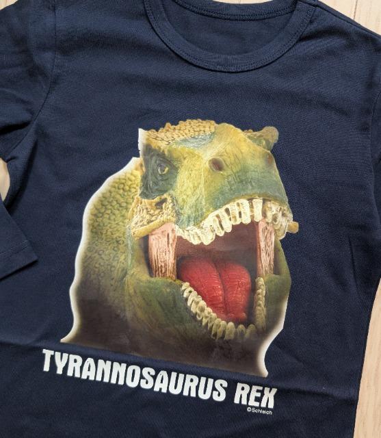 PROVCqSchleicheBmTEXvgsVcVi  LbY/xr[ 