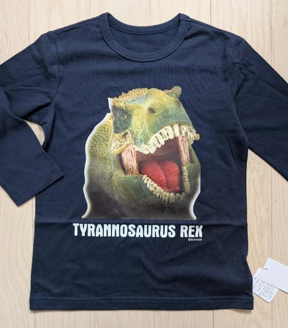 PROVCqSchleicheBmTEXvgsVcVi  LbY/xr[ 