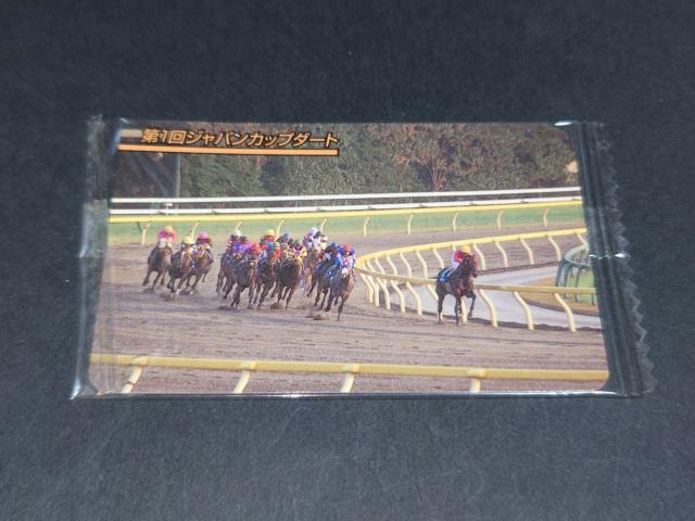 【未開封】まねき馬倶楽部 まねき馬カード レギュラーカード No.570 第1回ジャパンカップダート < トレーディングカード 【未開封】まねき馬倶楽部 まねき馬カード レギュラーカード No.570 第1回ジャパンカップダート < トレーディングカードの