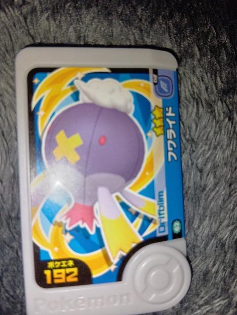 �|�P�����t�����_���t�����C�h�����g�p  �� �g���[�f�B���O�J�[�h�� 