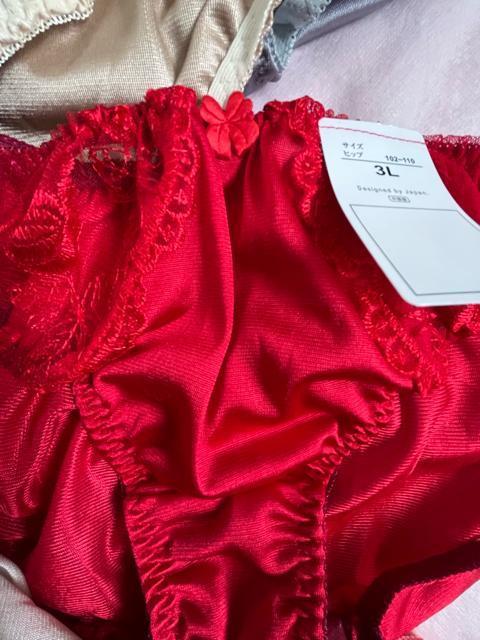 3Lサイズ!5枚セット!光沢ツルツル素材!シフォン使い!あり!色とりどり!高貴品格!エレガント!ショーツ!No.粋 < 女性ファッション 3Lサイズ!5枚セット!光沢ツルツル素材!シフォン使い!あり!色とりどり!高貴品格!エレガント!ショーツ!No.粋 < 女性ファッションの