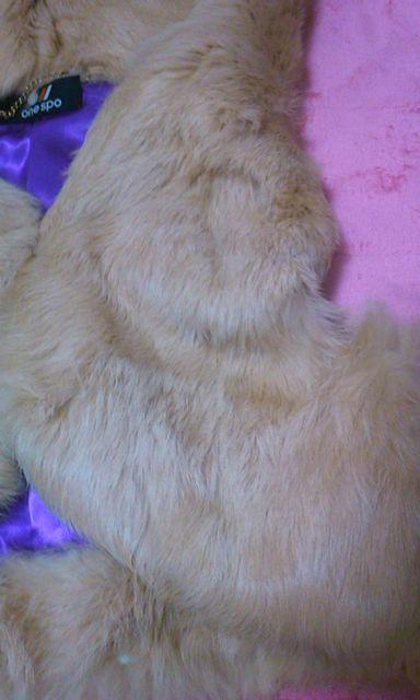 X| t@[xXg x[W t[ht Gǂ Vi M   uh 