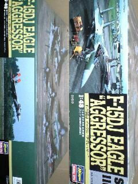 1/48 nZK q󎩉q F-15DJ C[O gAObT[h  zr[ 