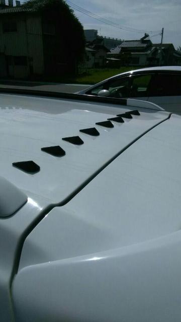 KVB@tႠ@[tfR[V_~[Aei  /oCN