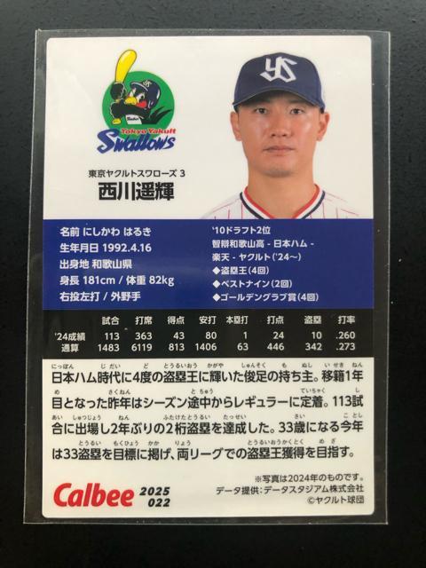 QOQTJr[싅Pe/mn-OQQENgX[YEyP  g[fBOJ[h 