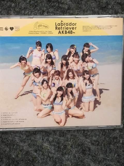 AKB48ラブラドール レトリバー < タレントグッズ  AKB48ラブラドール レトリバー < タレントグッズの