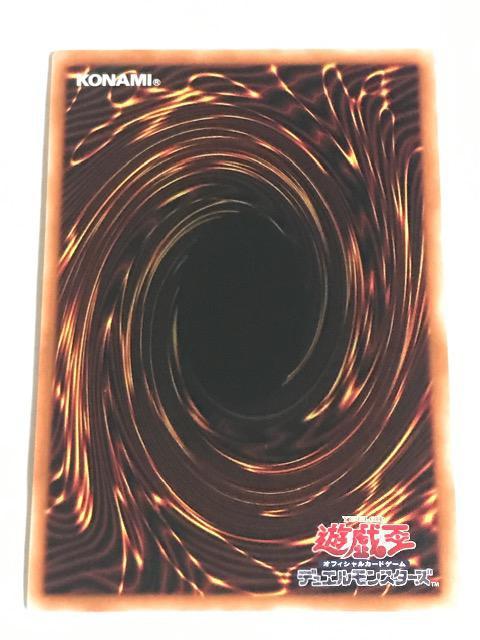 VY f̖pt DUNE-JP025 [tA  g[fBOJ[h 