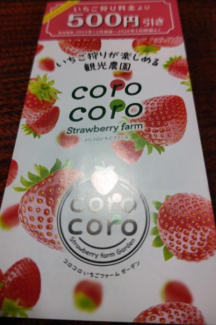 【非売品】コロコロいちごファーム 500円引き < チケット/金券 【非売品】コロコロいちごファーム 500円引き < チケット/金券の