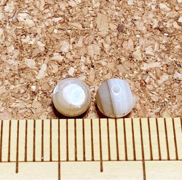 シェルビーズ5o丸100個 < ペット/手芸/園芸 シェルビーズ5o丸100個 < ペット/手芸/園芸の