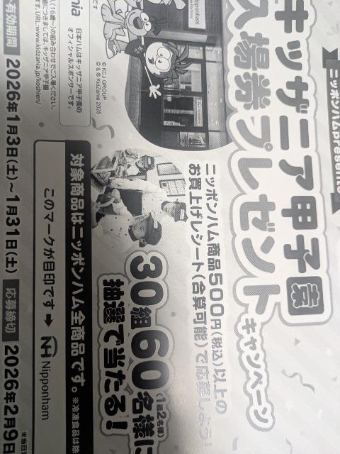 �^�C�A�b�v�L�b�U�j�A�b�q���y�A���ꌔ�����郌�V�[�g1����  �� �`�P�b�g/������ 