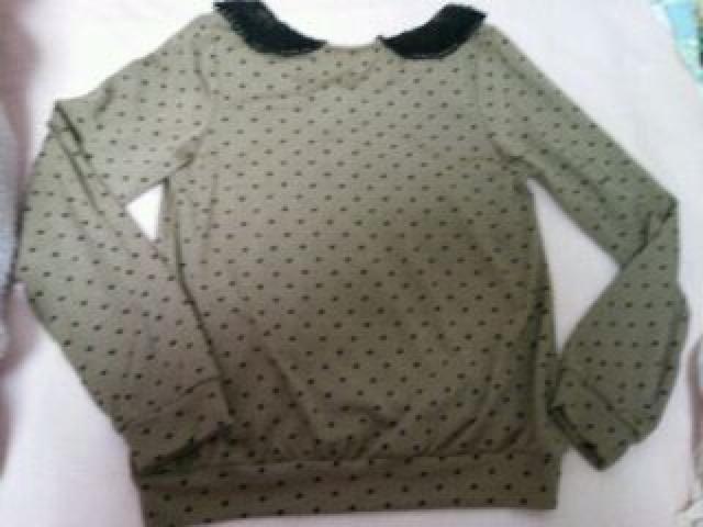 zG҂݃p-ӂS-h{^s(////)  t@bV 