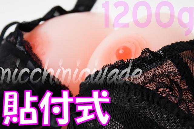 yYEO}[zVRoXg 1.2kg lH[ L    t@bV 