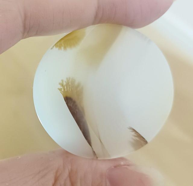 fhCgAQ[g@fheBbNAQ[g@탋[X   ybg/|/| 