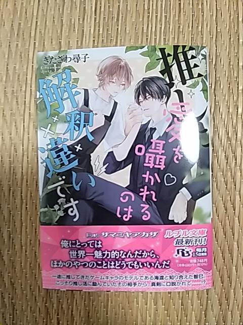 POV@@Ɉ𚑂͉̂߈Ⴂł@@qq 