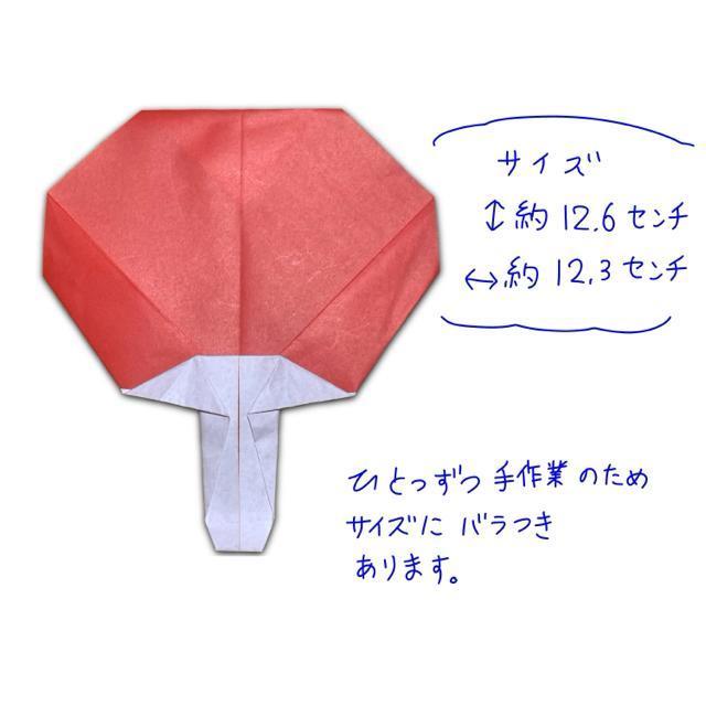 ハンドメイド 折り紙飾り 夏の飾り 10個セット < ペット/手芸/園芸  ハンドメイド 折り紙飾り 夏の飾り 10個セット < ペット/手芸/園芸の