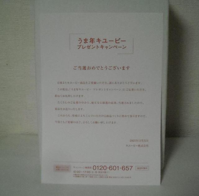 ���I�i�����ܔN�L���[�s�[�l�` �� ��������� 