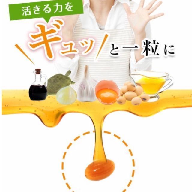 すっぽん黒酢にんにく卵黄 約3ヵ月分 無臭にんにく サプリメント 健康食品 < グルメ/ドリンク すっぽん黒酢にんにく卵黄 約3ヵ月分 無臭にんにく サプリメント 健康食品 < グルメ/ドリンクの