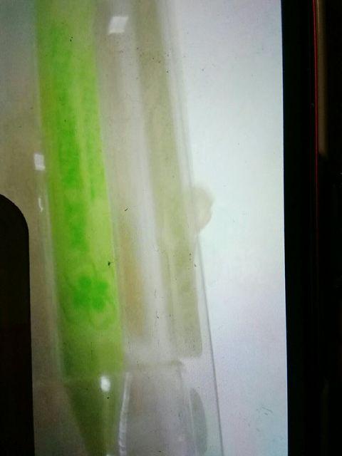 とナりのトとろゆらゆらシャープペン おおととろ < ホビー  とナりのトとろゆらゆらシャープペン おおととろ < ホビーの