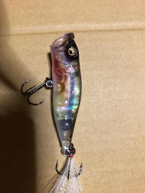 KoX@|bvX Arv[g  W[/X|[c 