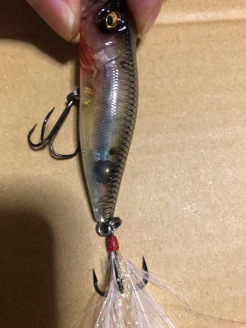 KoX@|bvX Arv[g  W[/X|[c 