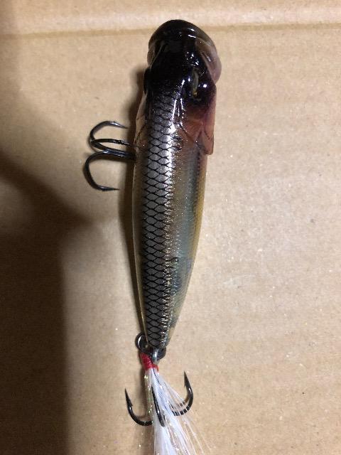 KoX@|bvX Arv[g  W[/X|[c 