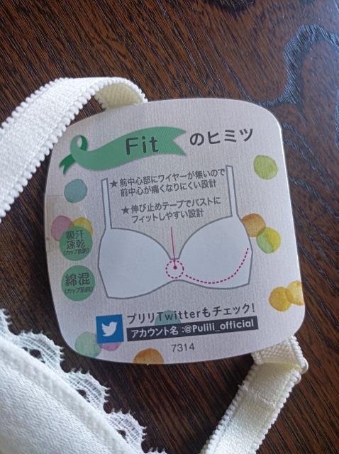 R[Palette Days PuliliFitzȍSCȂWing   t@bV 