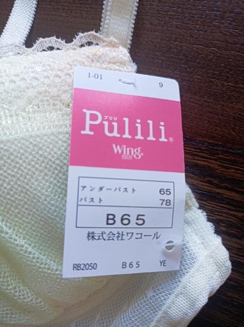 R[Palette Days PuliliFitzȍSCȂWing  t@bV 